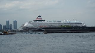 わんこと散歩しました、