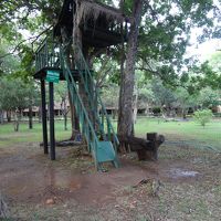 湖畔のツリーハウス