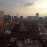 朝方にバルコニーから皇居方向をのぞむ
