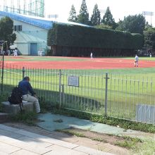 明治神宮外苑 軟式野球場 