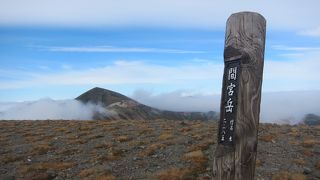 山頂は石の平原