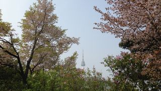 桜の時期に行きました。