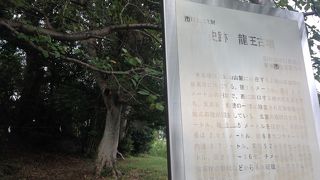 龍王古墳(上砥山古墳群)