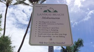 本当に天国だよ！