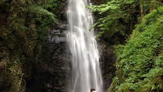 登山コースは見どころいっぱい