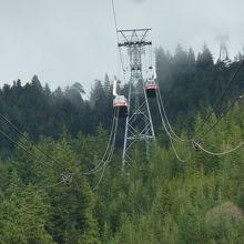 駅から山の上を見るとゴンゴラがすれ違うところでした
