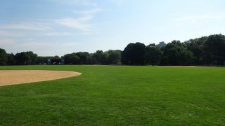 都会の中の造られた自然