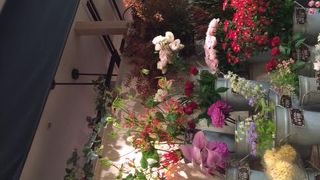 仙台駅の1階に入っているお洒落なフラワーショップ By Gardenia フルール エルベのクチコミ フォートラベル 仙台駅の1階に入っているお洒落なフラワーショップ By Gardenia フルール エルベのクチコミ フォートラベル