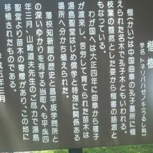 楷樹の解説はこちらで。