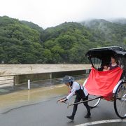 台風でも元気よく大人気。