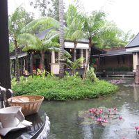 モーニング時に、受付の方をとったもの。池が真ん中に