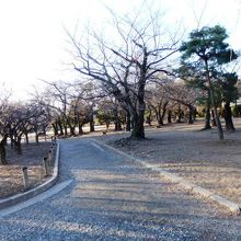 国宝松本城庭園