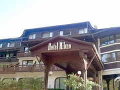 Ribno Alpine Hotel 写真