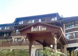 Ribno Alpine Hotel 写真