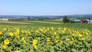 場所がみつけにくかったです。