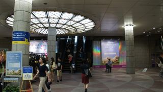 何んとかもっていますね