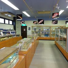 展示生物は３００種ということです。