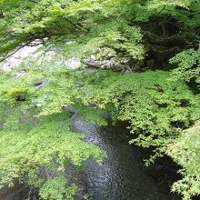 夏でも涼しい木谷峡 By Toyokazu 木谷峡のクチコミ フォートラベル 夏でも涼しい木谷峡 By Toyokazu 木谷峡のクチコミ フォートラベル