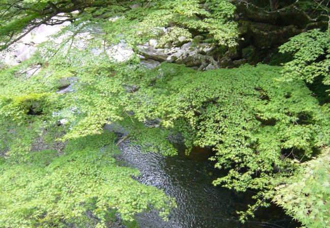 夏でも涼しい木谷峡