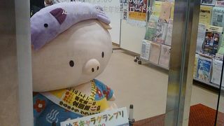 とにかくあゆコロちゃん、がんばってます。