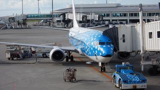 沖縄の玄関口。飛行機も華やかです。