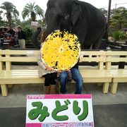 宮崎観光で子供と行くならここ！