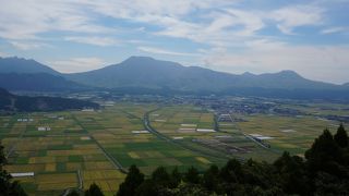 ここからも阿蘇五岳とカルデラが見渡せます