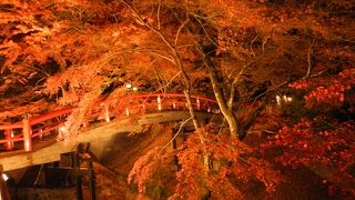 紅葉時期の伊香保に行ったら、ぜひ！