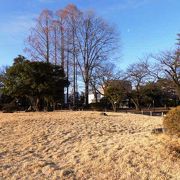 松本城主の戸田光庸が桜等を植え公園とした松本城山公園