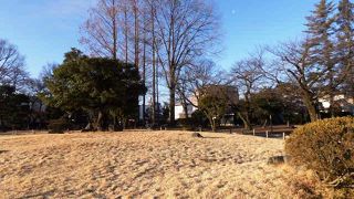松本城主の戸田光庸が桜等を植え公園とした松本城山公園