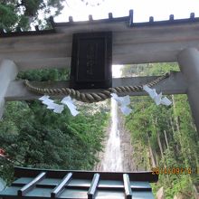 近くに来ると迫力満点