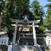 鳥居を潜ってお寺へ、境内は東照宮によく似てる