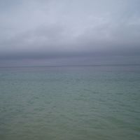 ビーチからの海。