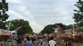 福岡のお祭り