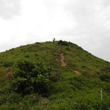 てっぺんにおります。飛ばされそうでしがみついております