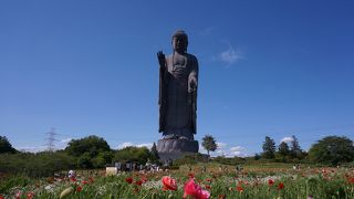 とにかく大きい！