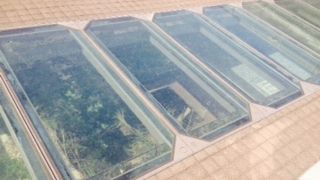 象の鼻パークにある税関遺構