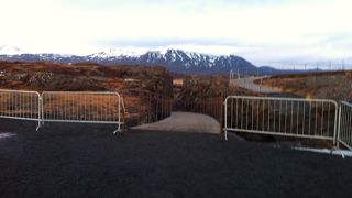 貴重なギャウが観れる！