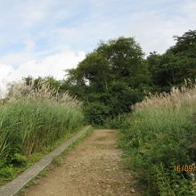 上りきると行き止まり