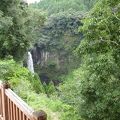 圧巻の眺め。日本の滝１００選に選ばれた景観！