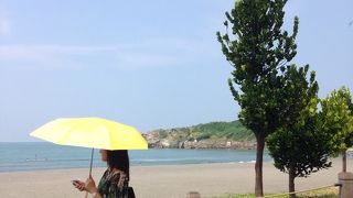 でっかいカニがいてました