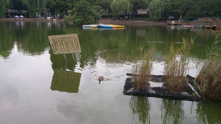 憩いの公園です