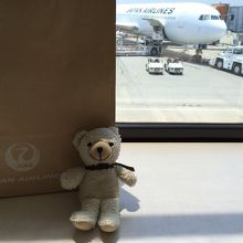 えー、私くまちゃんは日本航空を使っています。