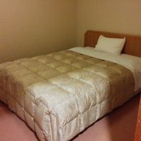 広いベッドの洋間もありました