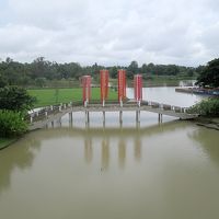 ロビーのテラスから敷地を眺めます