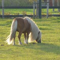 是非ホテルの周りを散策してみてください