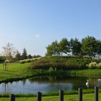 きれいな公園があります