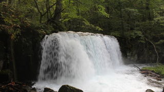 「魚止めの滝」とも呼ばれる奥入瀬渓流本流にかかる唯一の滝