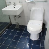 トイレ　洗面がありガラスの水除けがあってシャワー