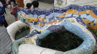 トカゲが美しい